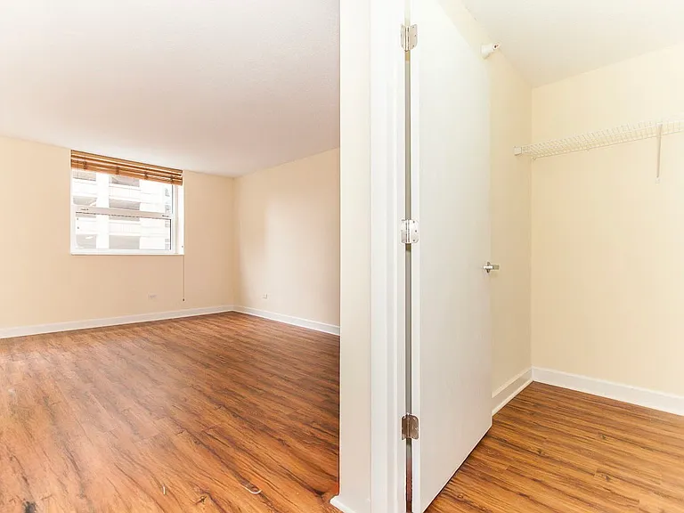 545 N Dearborn St #902 — Photo 10