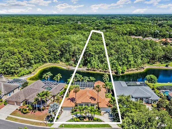 4561 Roanoak Way, Palm Harbor, FL 34685