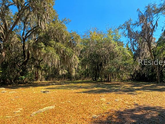 5th image of 1405 Ribaut Rd