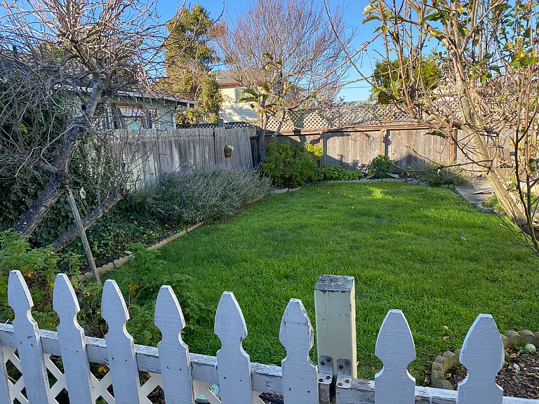 Backyard with apple, pear and plum trees