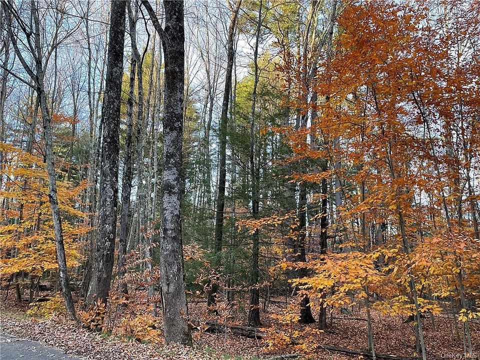 Lucks Road, Greenfield Park, NY 12435 Zillow