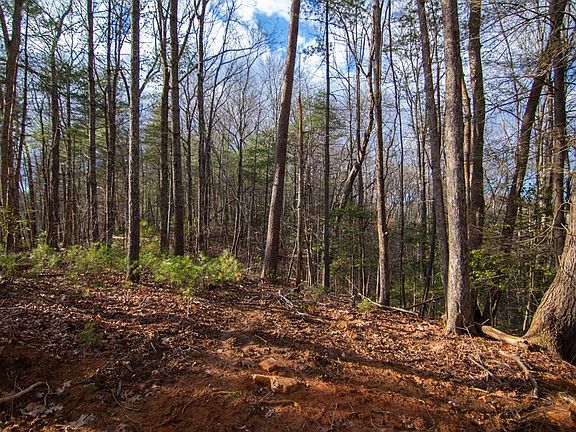 3rd image of LOT 7 Clays Way