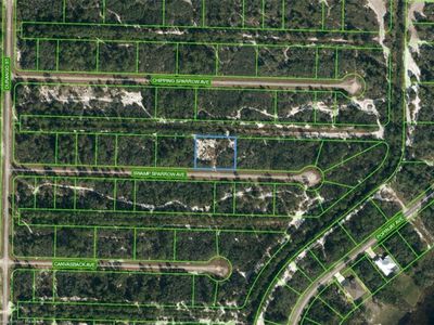 3331 Swamp Sparrow Ave, Lake Placid, FL, 33852