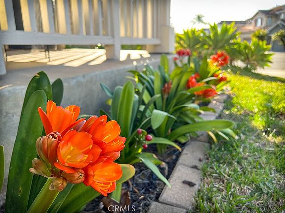 2nd image of 10 Acorn Rdg