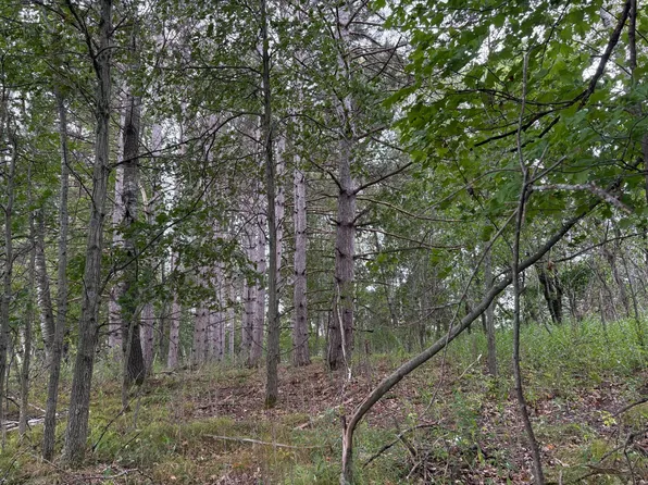 LOT 2 Lever St NE, Isanti, MN 55040