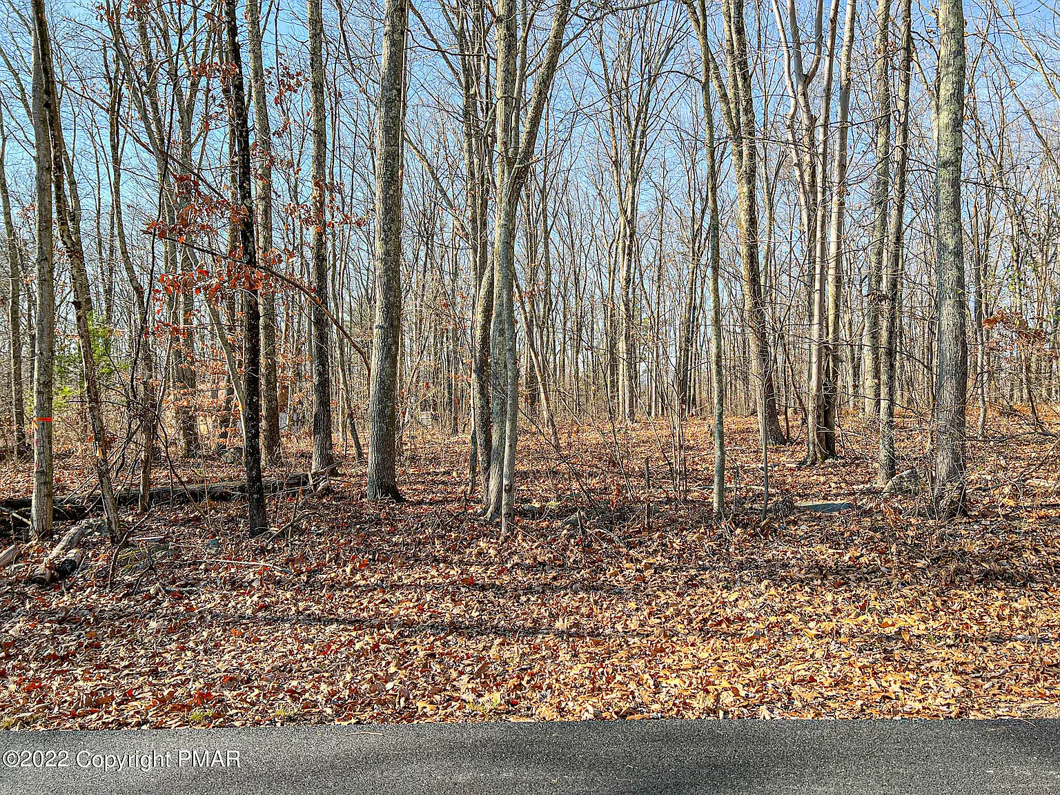 207 Cathleen Dr photo 1