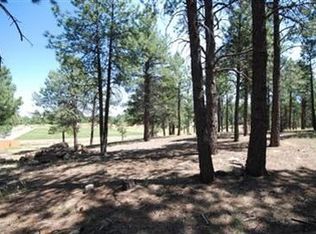 3858 S Wagon Trl, Flagstaff, AZ 86001