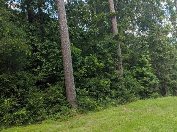 242 Gazelle Dr, Onalaska, TX 77360