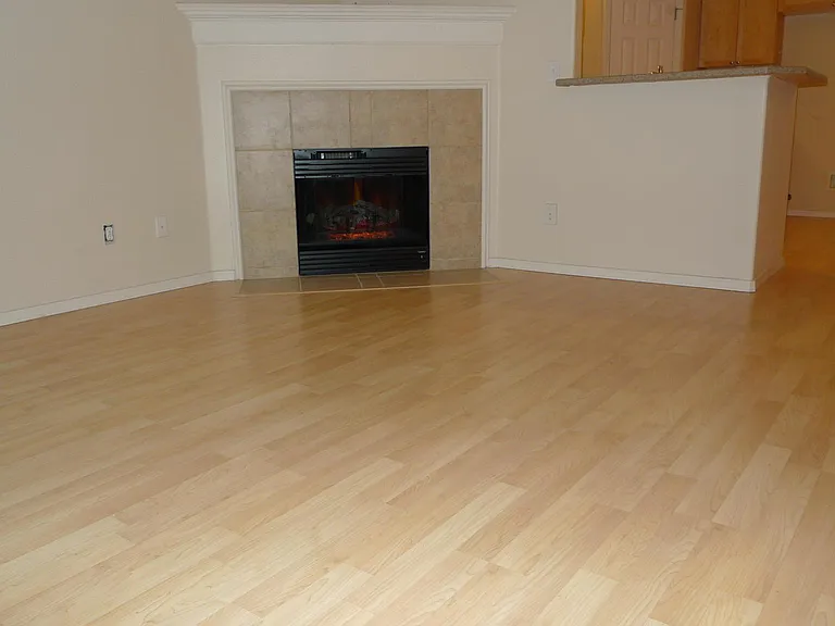 Living room with fireplace