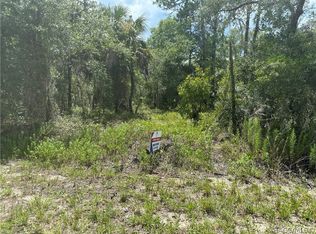 Xx 125th Ct, Dunnellon, FL 34431