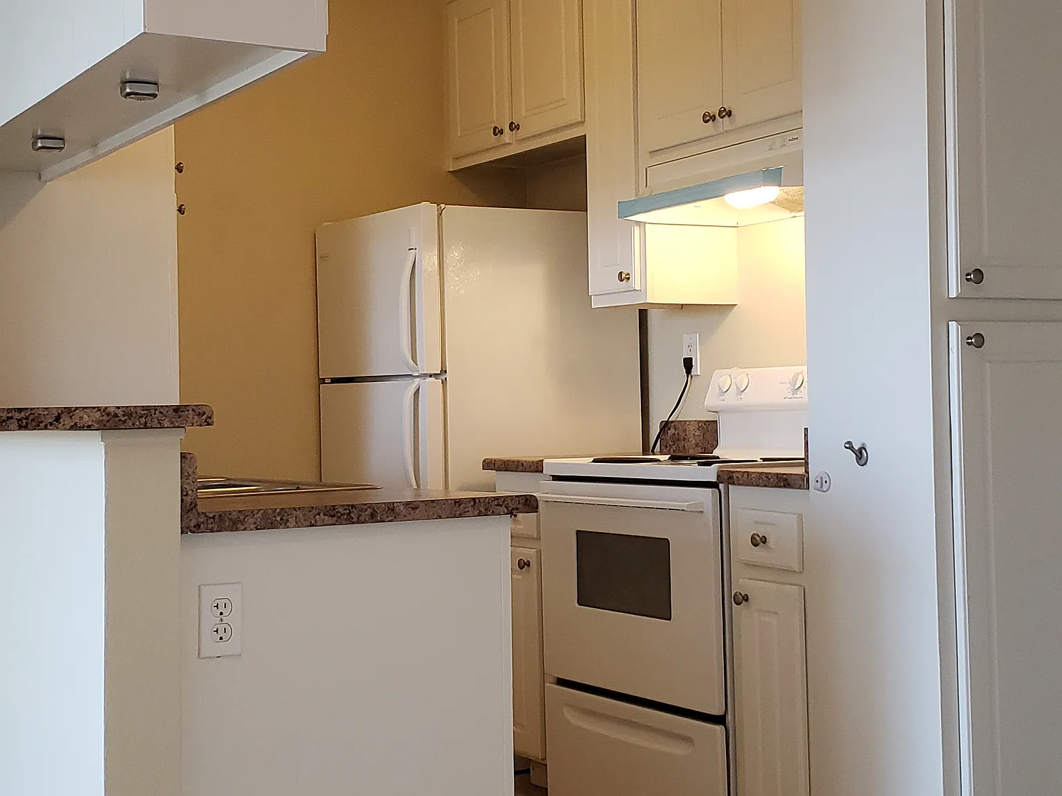 1 bed, 501 sqft, $1,860 — Photo 4