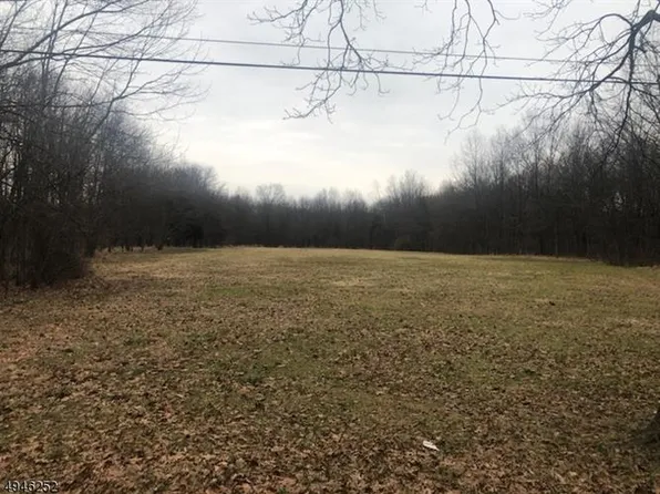 34 Rake Rd, Pittstown, NJ 08867