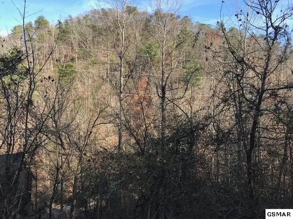Sugar Mtn Way, Pigeon Forge, TN 37863