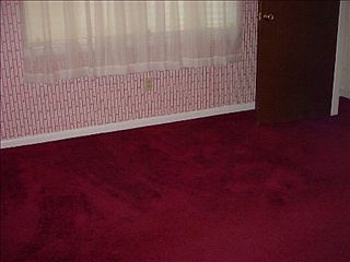 5th image of 406 Pine Hills Dr