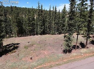 220 Iron Eagle Point, Woodland Park, CO 80863