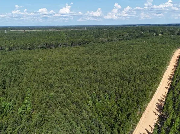 16 Penny Morris Rd, Baxley, GA 31513