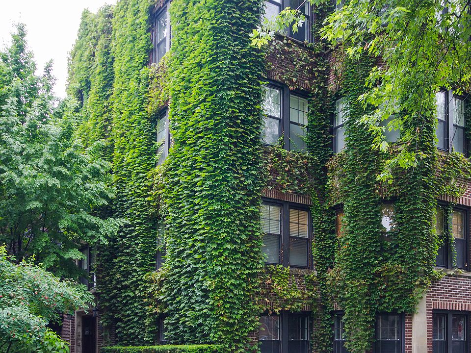 1st image of 5350 N Glenwood Ave APT 1E