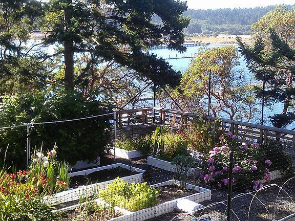 View from front deck