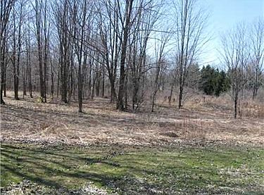 3rd image of 3 Oak Brook Dr