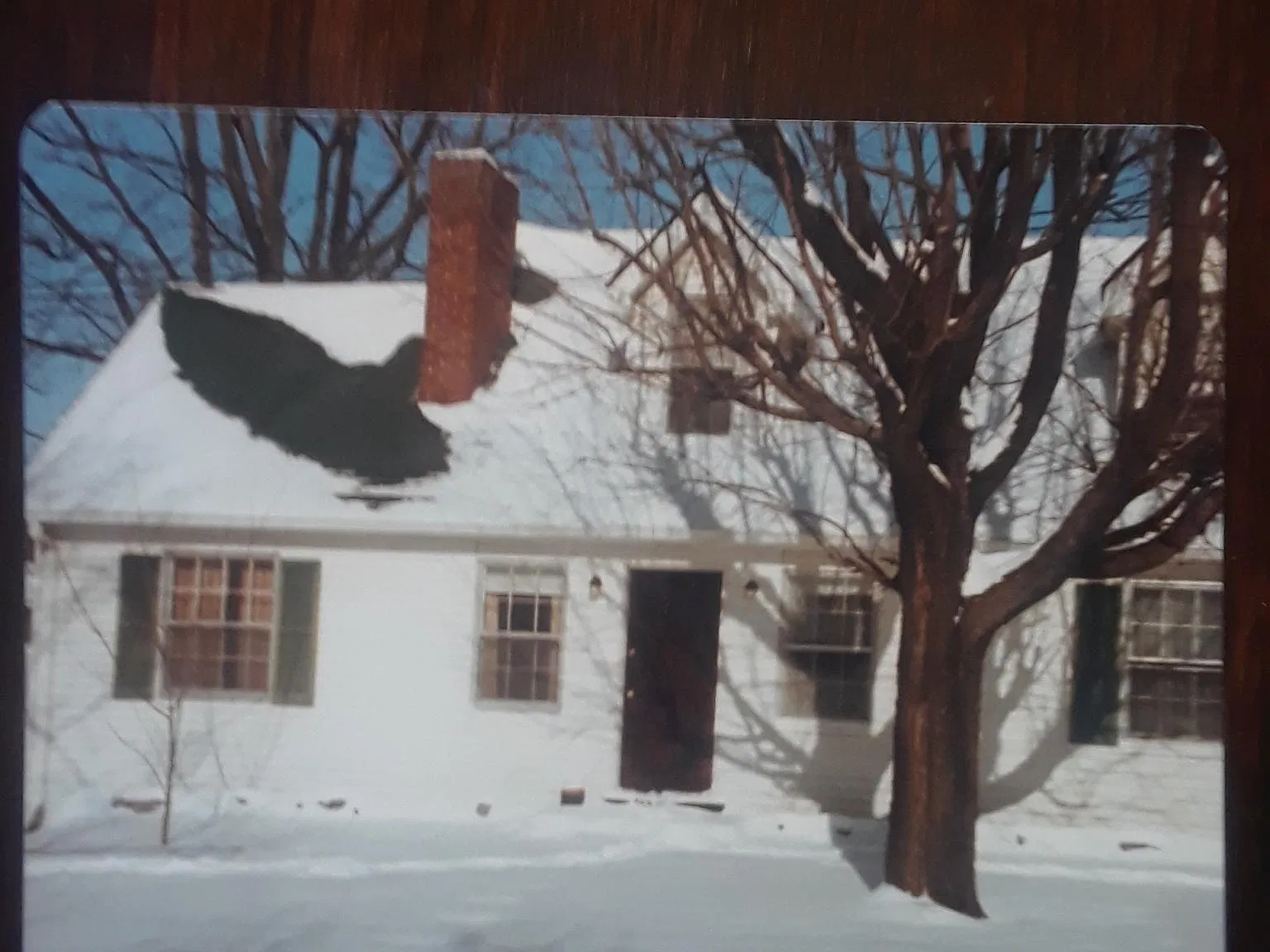 3 bed, 1450 sqft, $2,595 — Photo 2