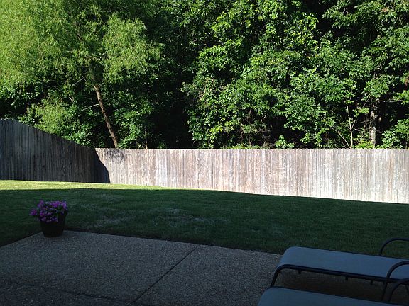 Backyard backs up to woods