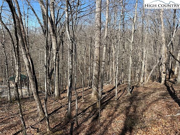 3rd image of Lot 45 Happyland Road #45