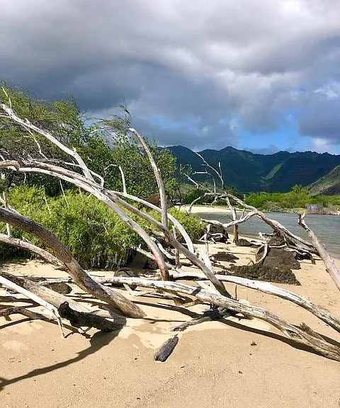Kuliouou Beach Park only 9 minutes away!