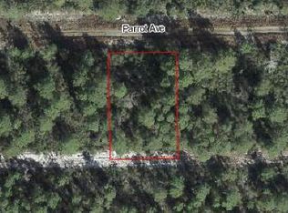443 Parrot Ave, Sebring, FL 33872