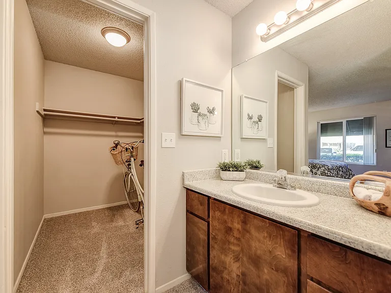 Delta Vanity & Closet