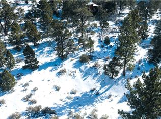 0 Lakewood Dr, Big Bear City, CA 92314