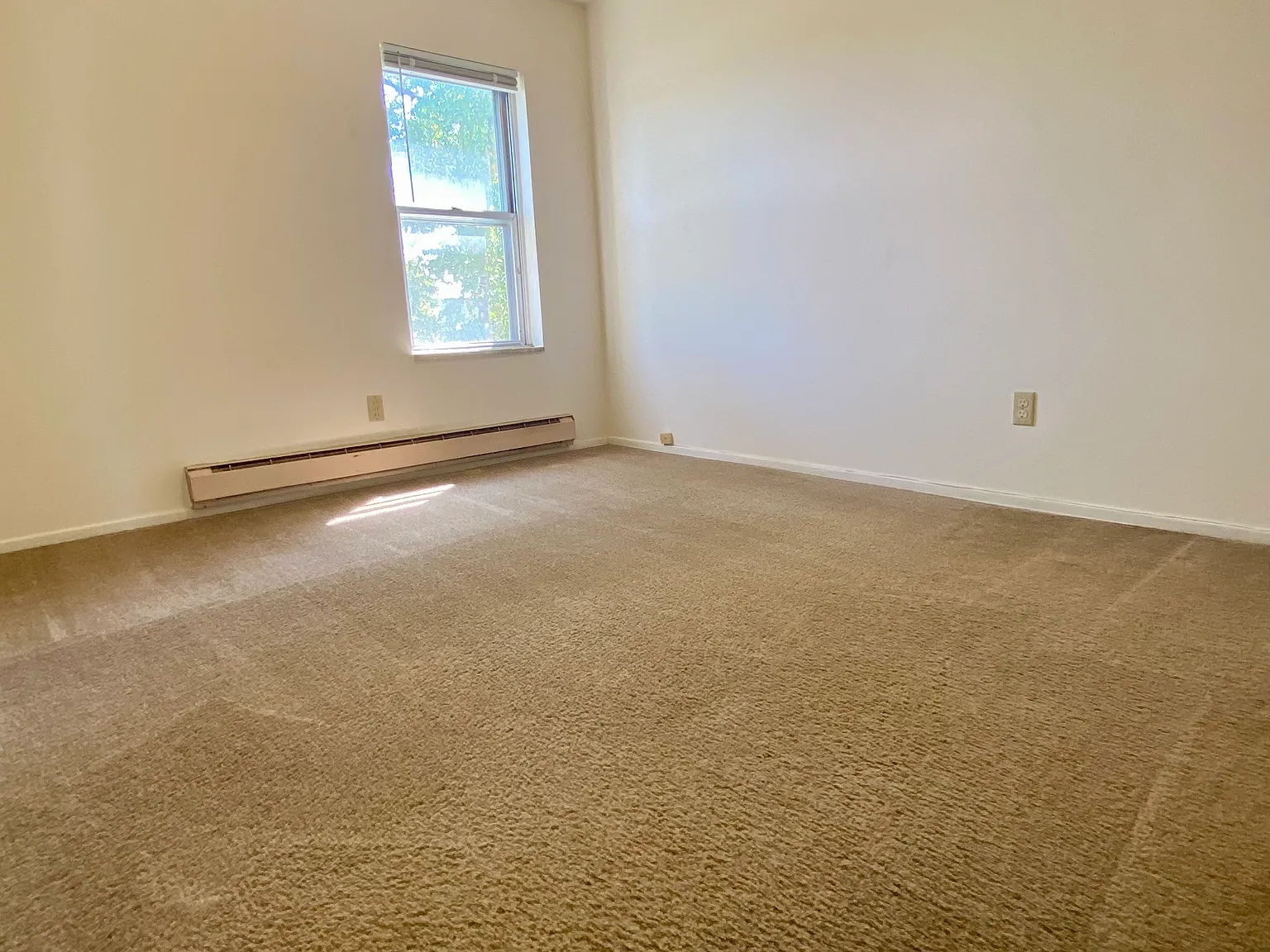 1 bed, 800 sqft, $700 — Photo 4