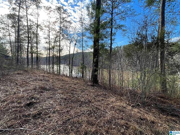 4th image of 0 Paint Creek Ln #35