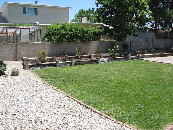Lawn & Rosebush Portion of Backyard