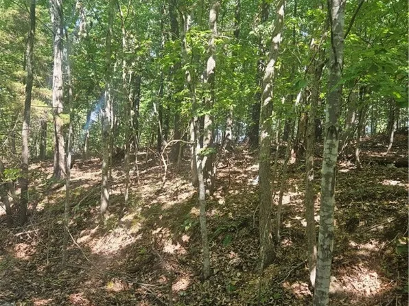 Selkirk Cir #5 & 6, Bella Vista, AR 72715