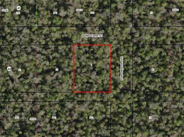 10770 W Brocade St, Homosassaa, FL 34448