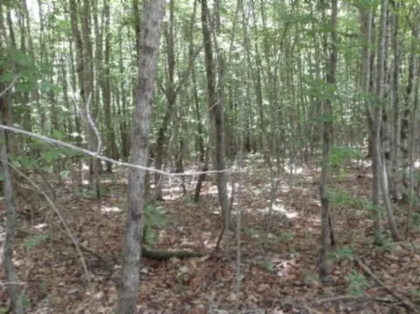LOT 48 Parkstown Ext, Wilder, TN 38589