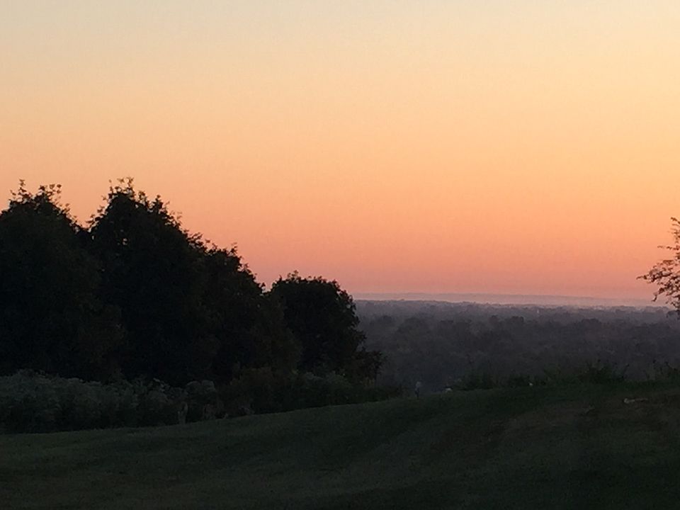Horizon View