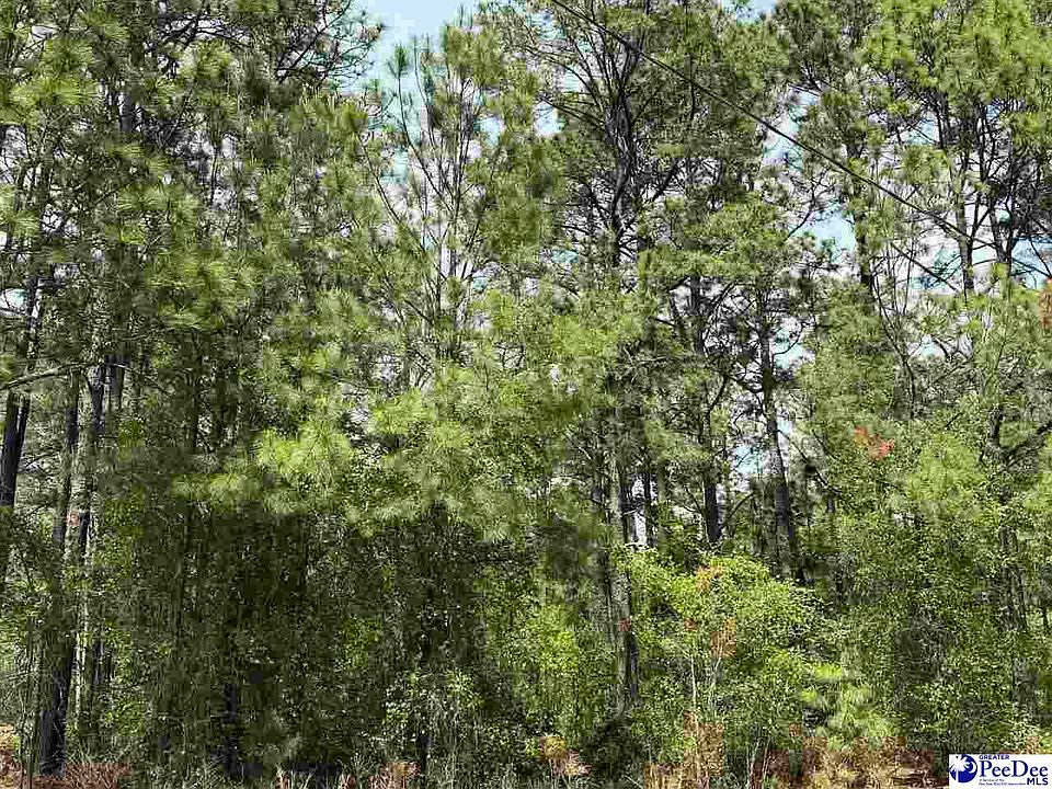 1st image of Skylite Dr