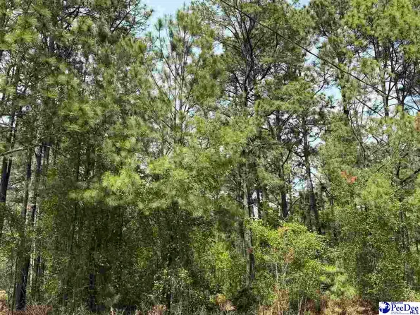 Skylite Dr, Dillon, SC 29536