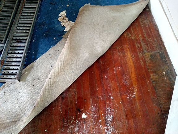 Hardwoods under carpets