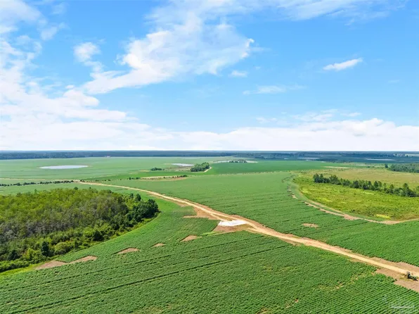 0 Manning Rd, Atmore, AL 36502
