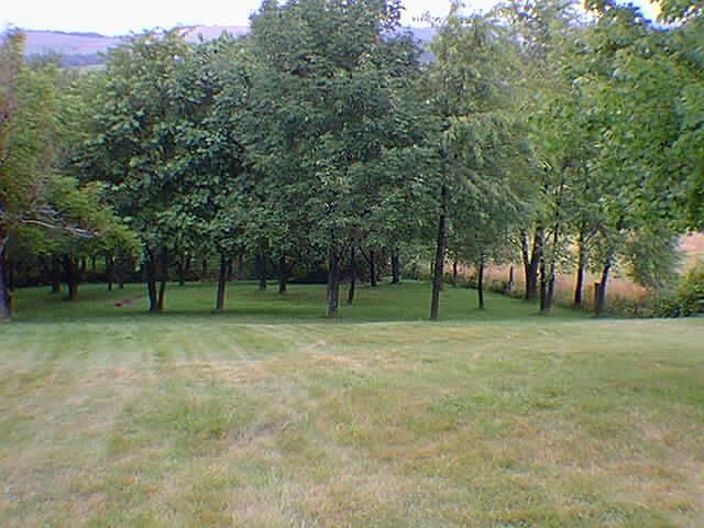 View from rear deck