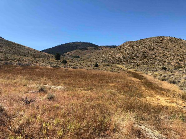 80 acres · 23 Dutchmans Rd, Loyalton, CA 96118