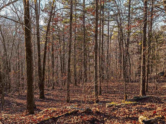 8th image of this home