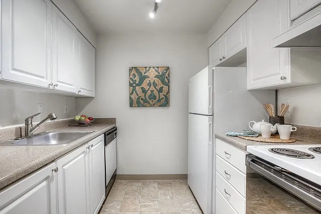 Mountain High Apartments — Photo 5