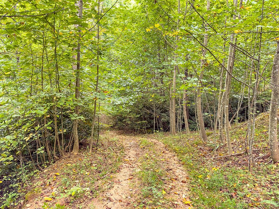 13 Covered Bridge Trl, Fancy Gap, VA 24328 Zillow