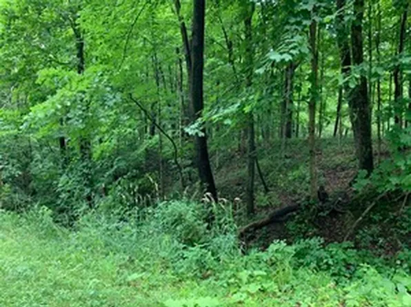 26 Skinner Dr, Putnam, IL 61560