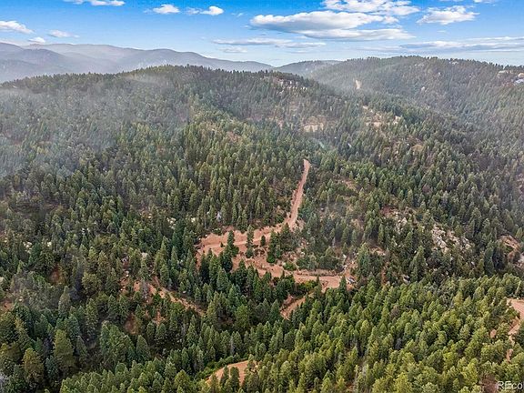 2nd image of Forest Lane
