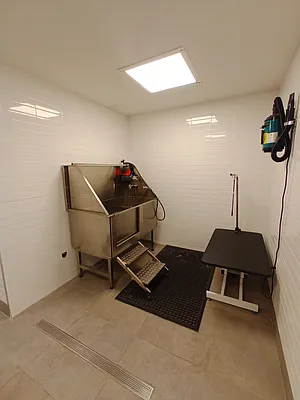 Rented by City Vista Inc | media 43