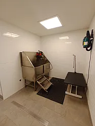 Rented by City Vista Inc